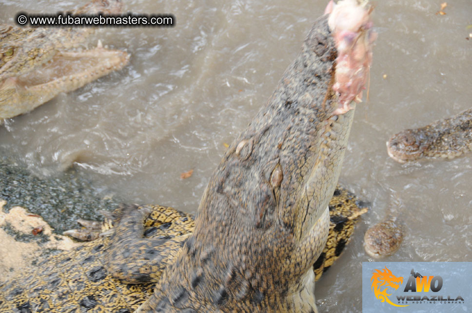 Crocodile Farm