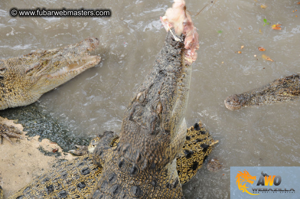 Crocodile Farm