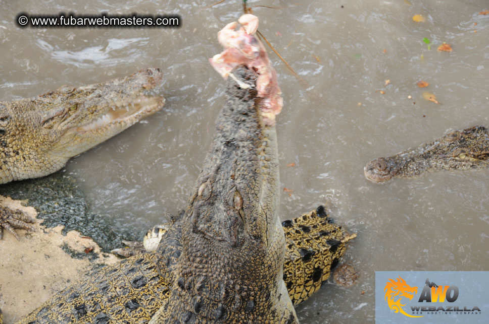 Crocodile Farm