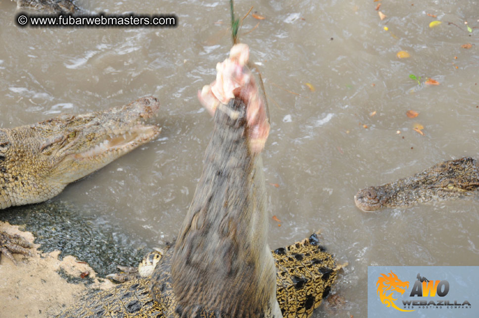 Crocodile Farm