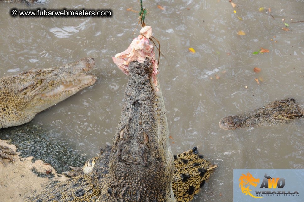 Crocodile Farm