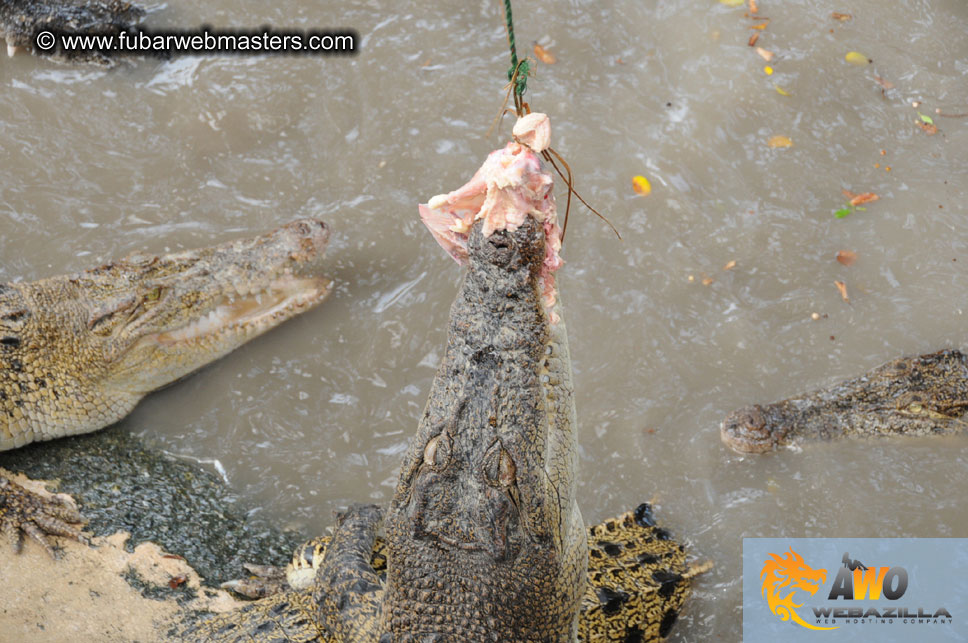 Crocodile Farm