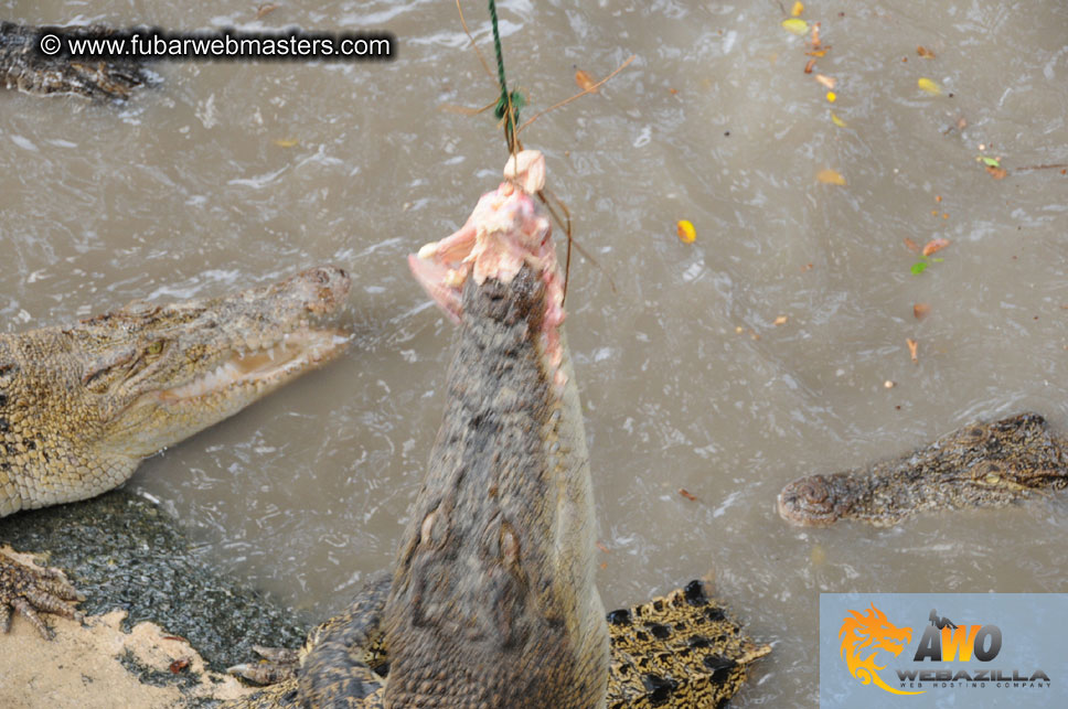 Crocodile Farm