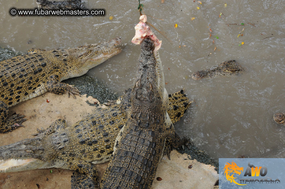 Crocodile Farm