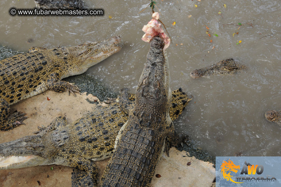 Crocodile Farm