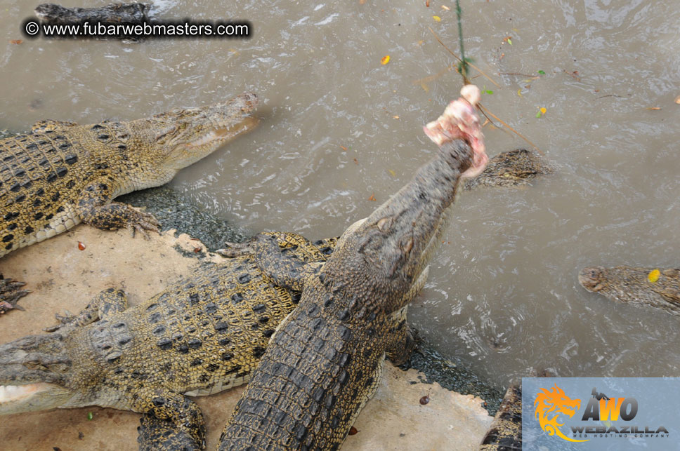 Crocodile Farm