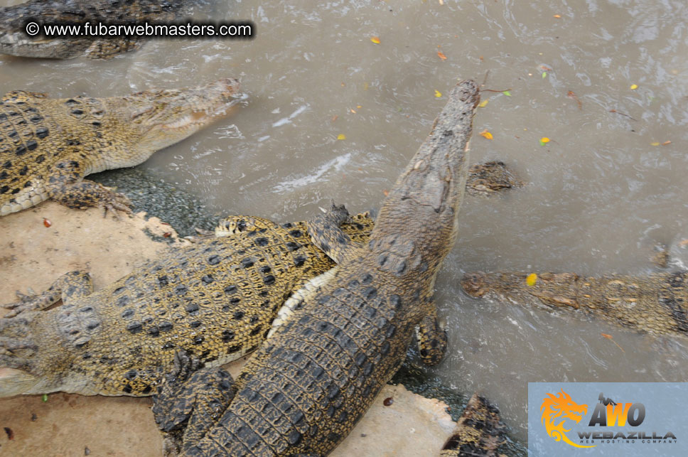 Crocodile Farm