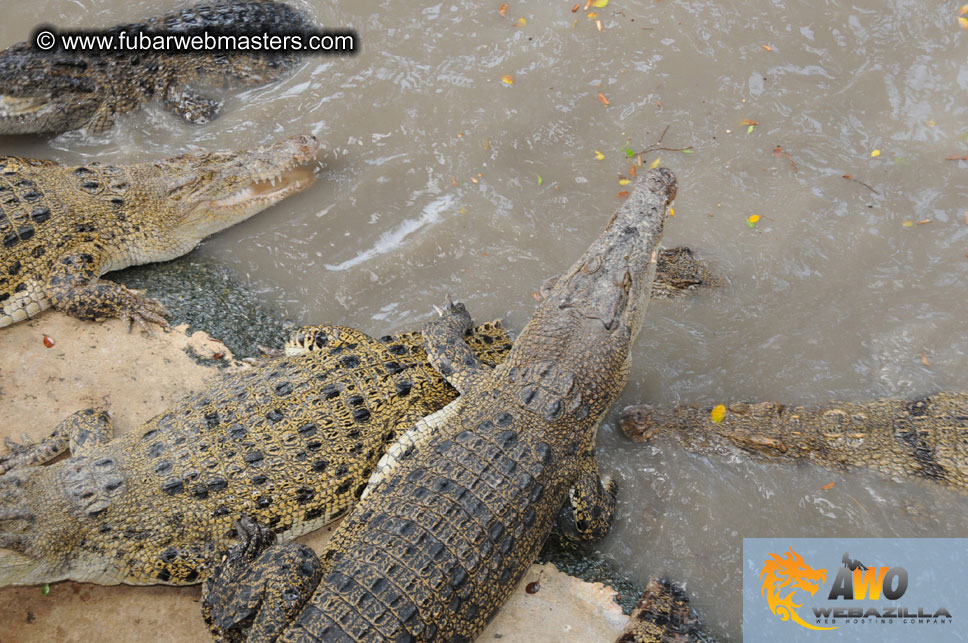 Crocodile Farm