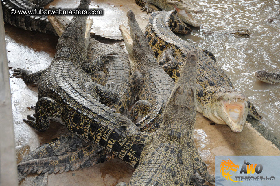 Crocodile Farm