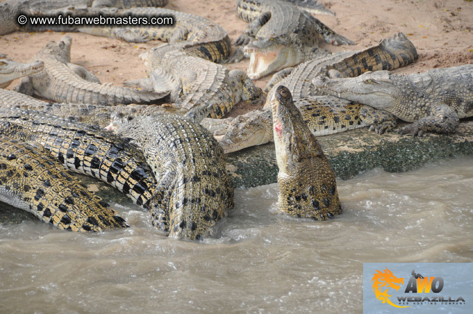 Crocodile Farm