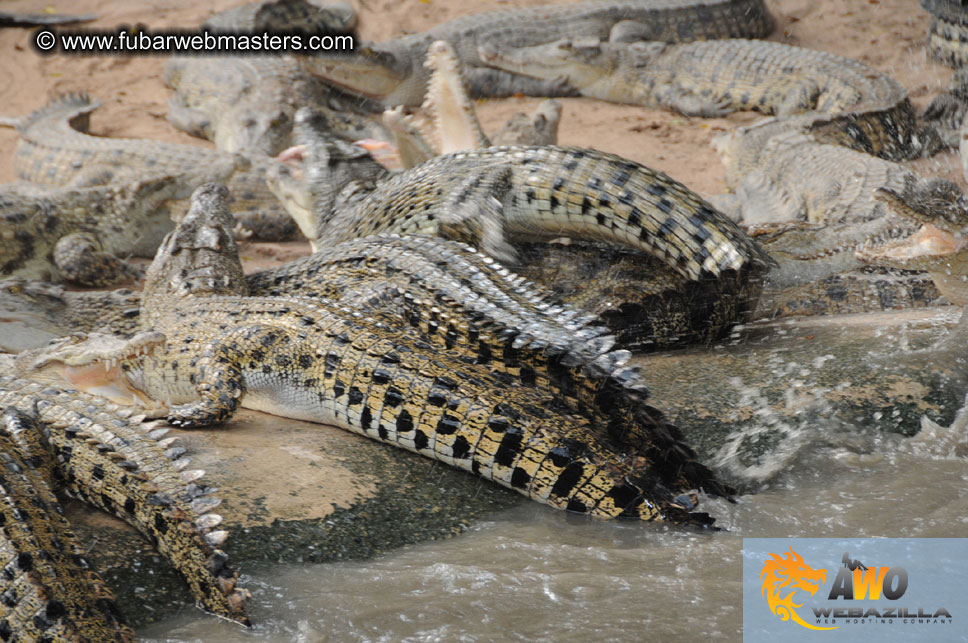 Crocodile Farm