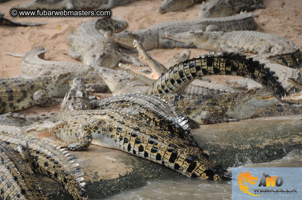 Crocodile Farm