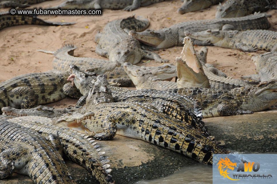 Crocodile Farm