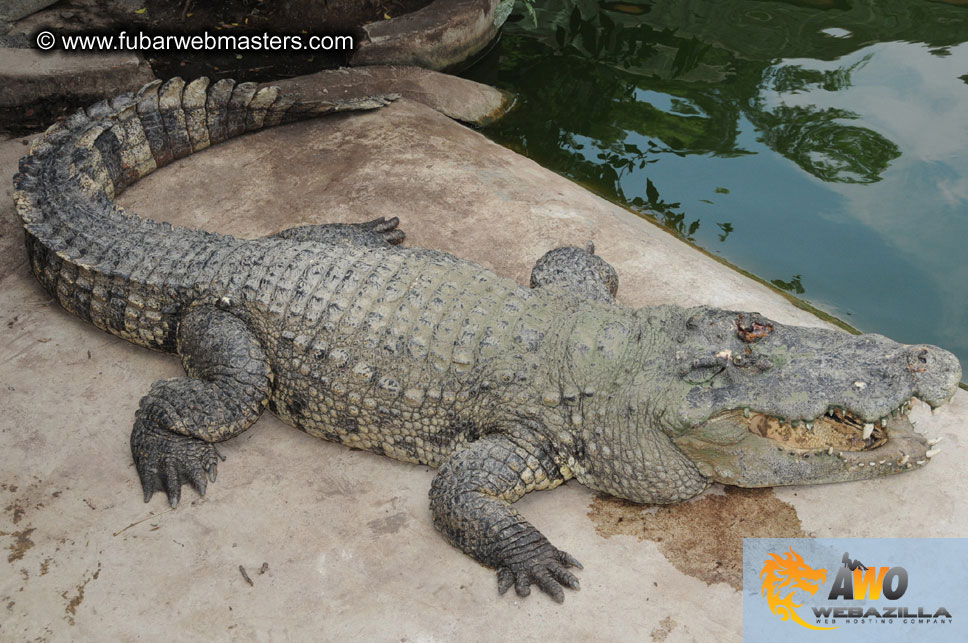 Crocodile Farm