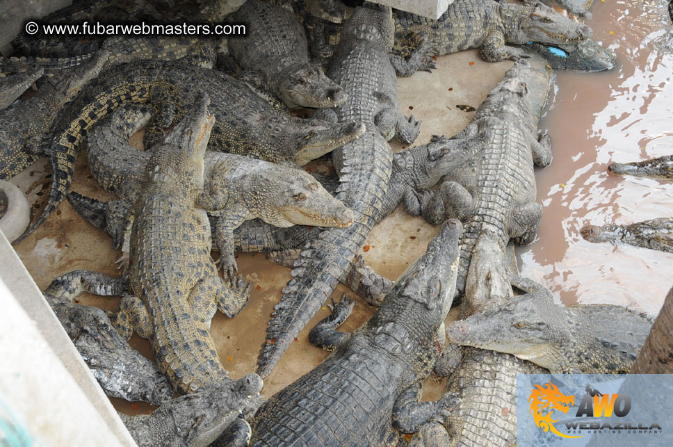 Crocodile Farm