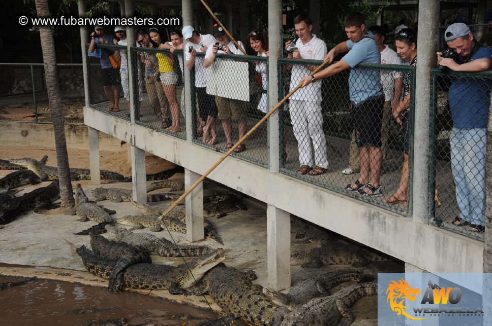 Crocodile Farm