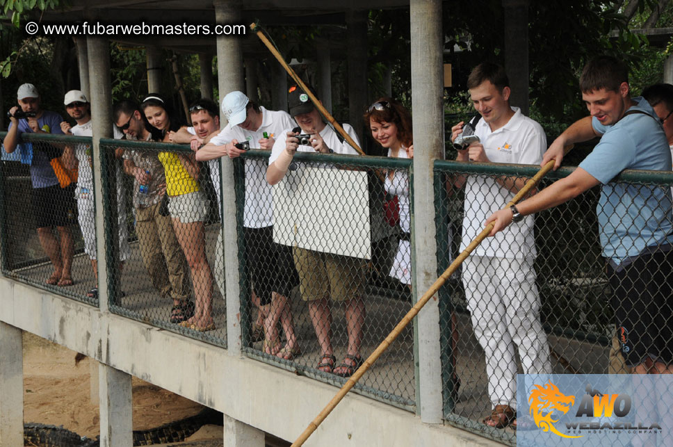 Crocodile Farm