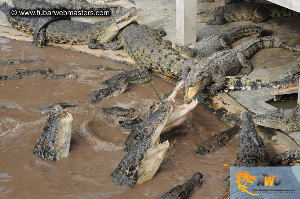 Crocodile Farm