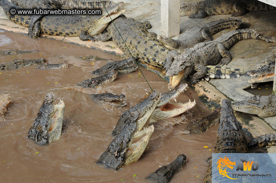 Crocodile Farm