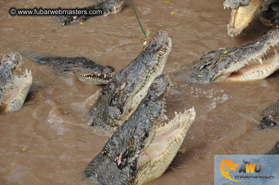 Crocodile Farm