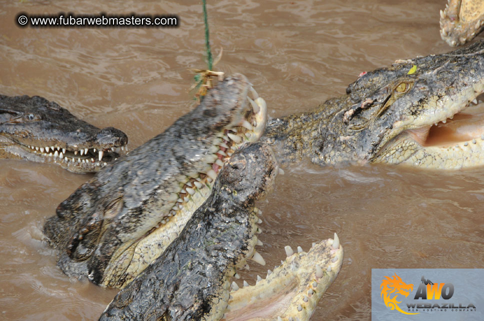 Crocodile Farm