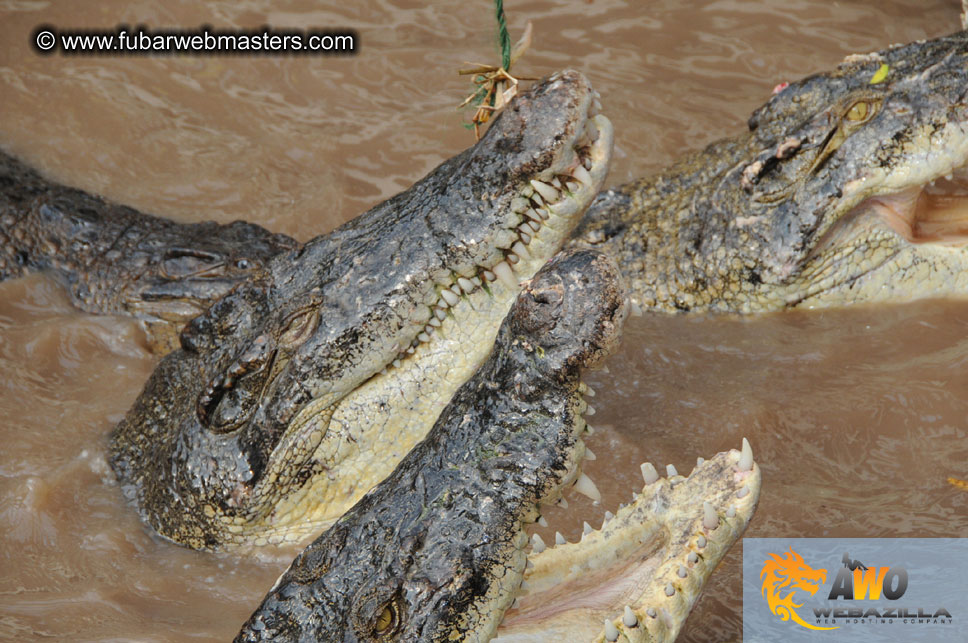 Crocodile Farm