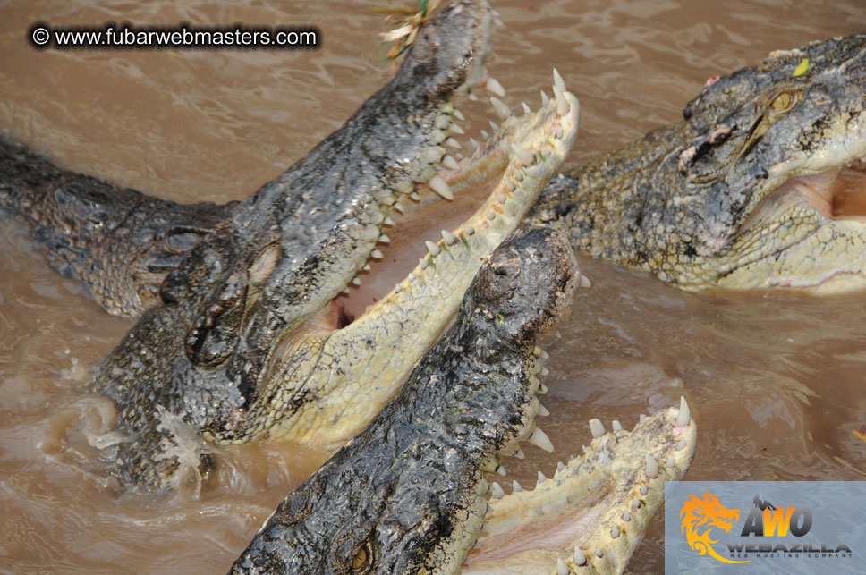 Crocodile Farm