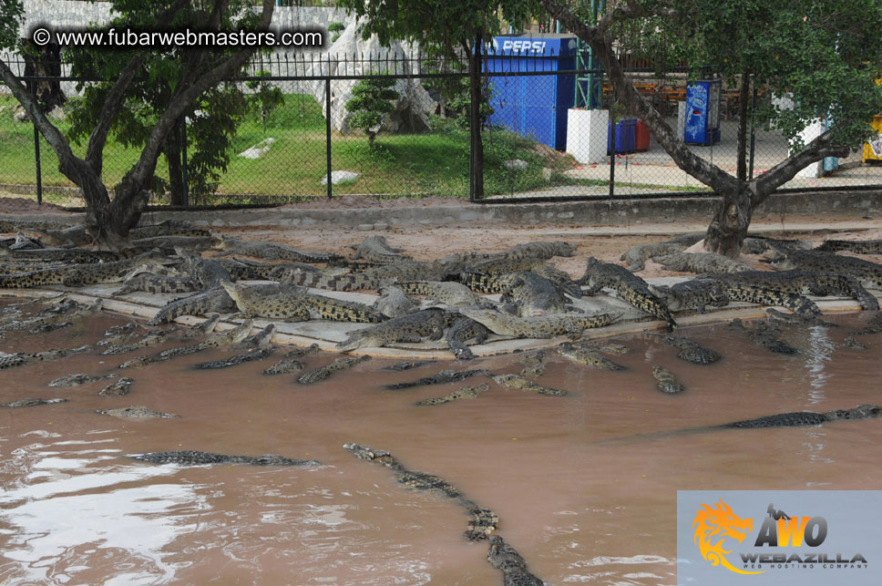 Crocodile Farm