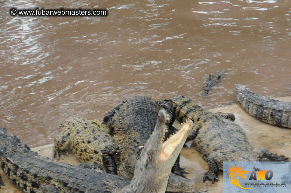 Crocodile Farm