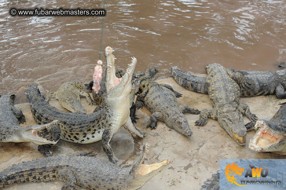 Crocodile Farm