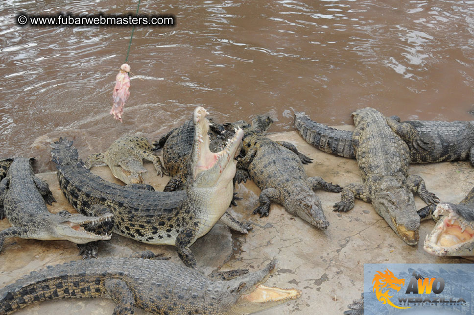 Crocodile Farm