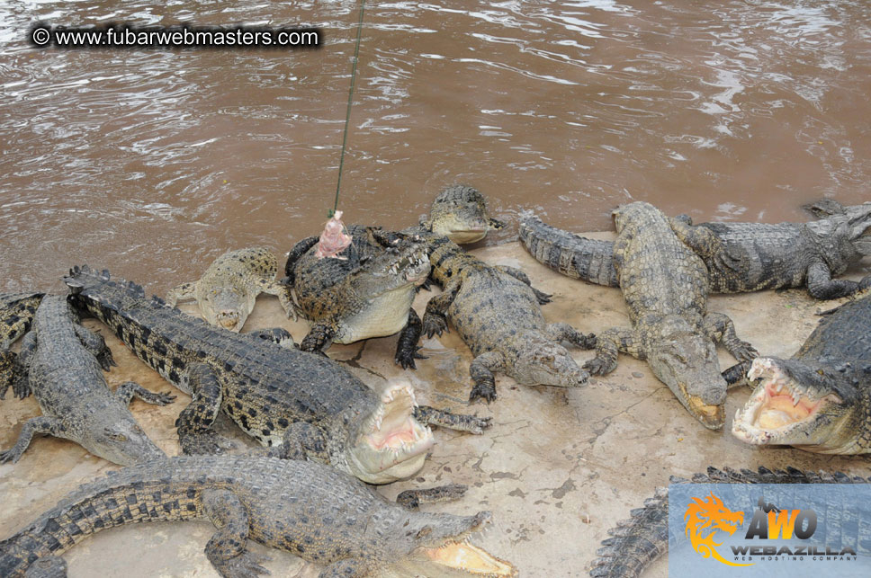 Crocodile Farm