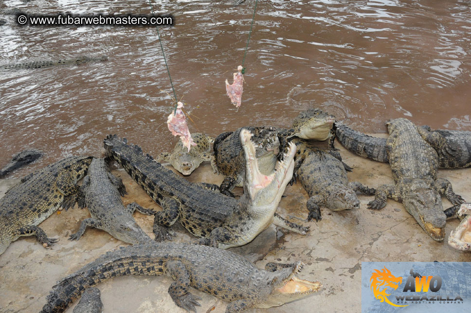 Crocodile Farm