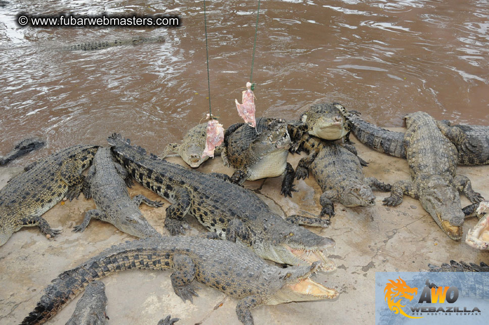 Crocodile Farm