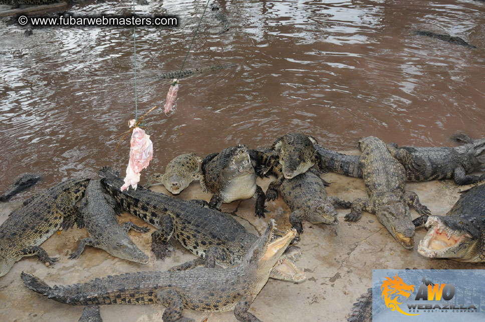 Crocodile Farm