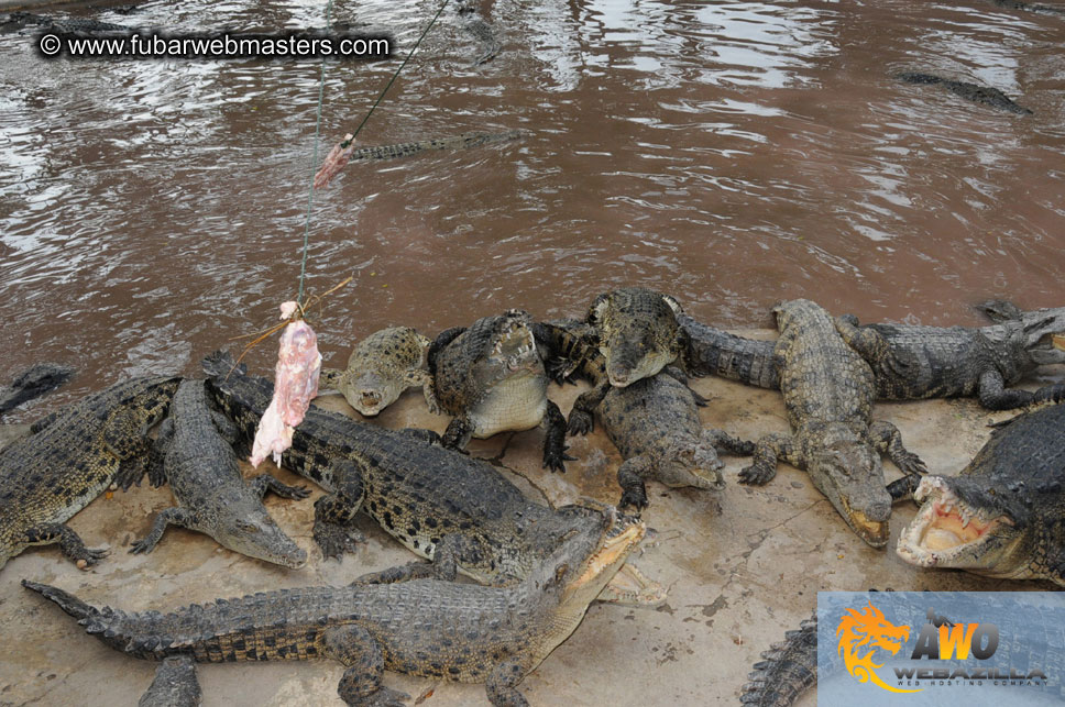 Crocodile Farm