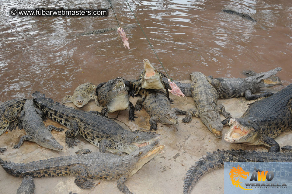 Crocodile Farm