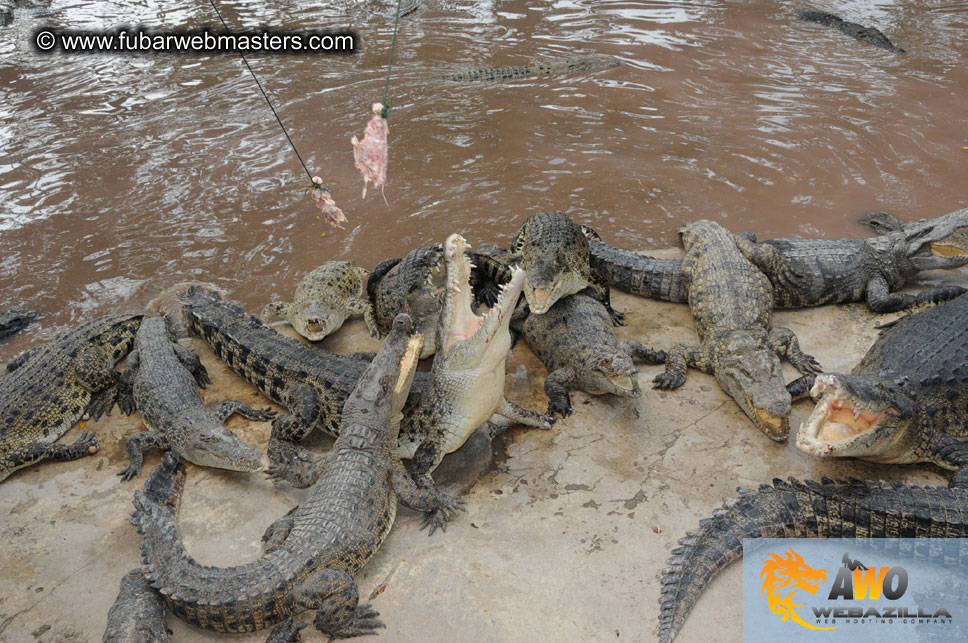 Crocodile Farm