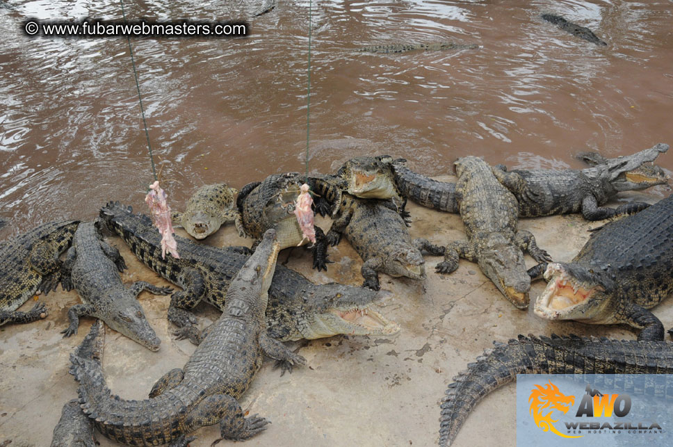 Crocodile Farm