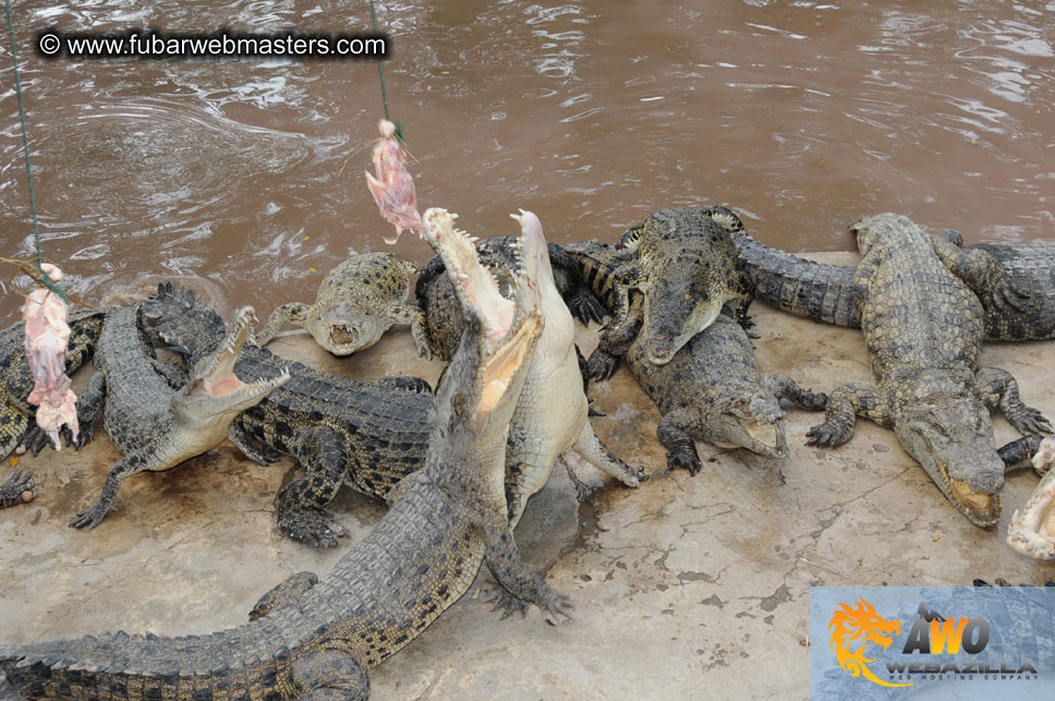 Crocodile Farm