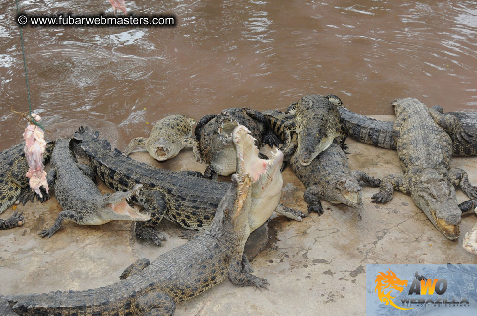 Crocodile Farm