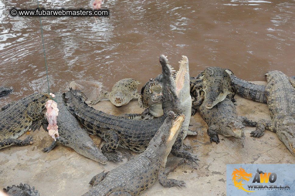 Crocodile Farm