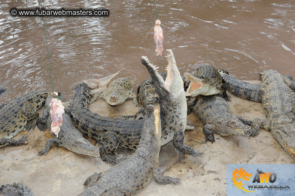 Crocodile Farm