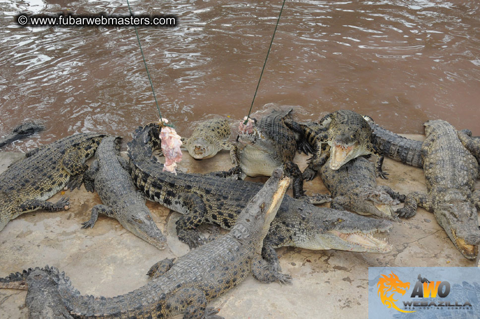 Crocodile Farm