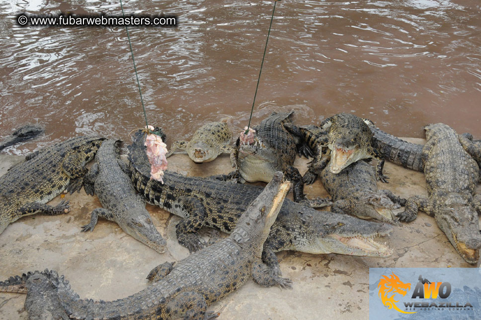 Crocodile Farm