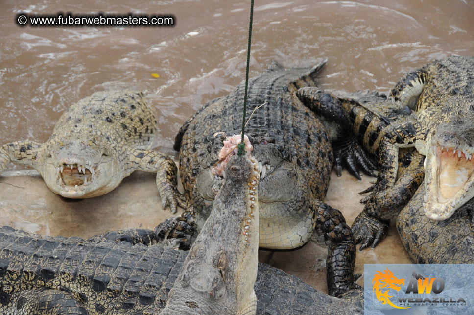 Crocodile Farm