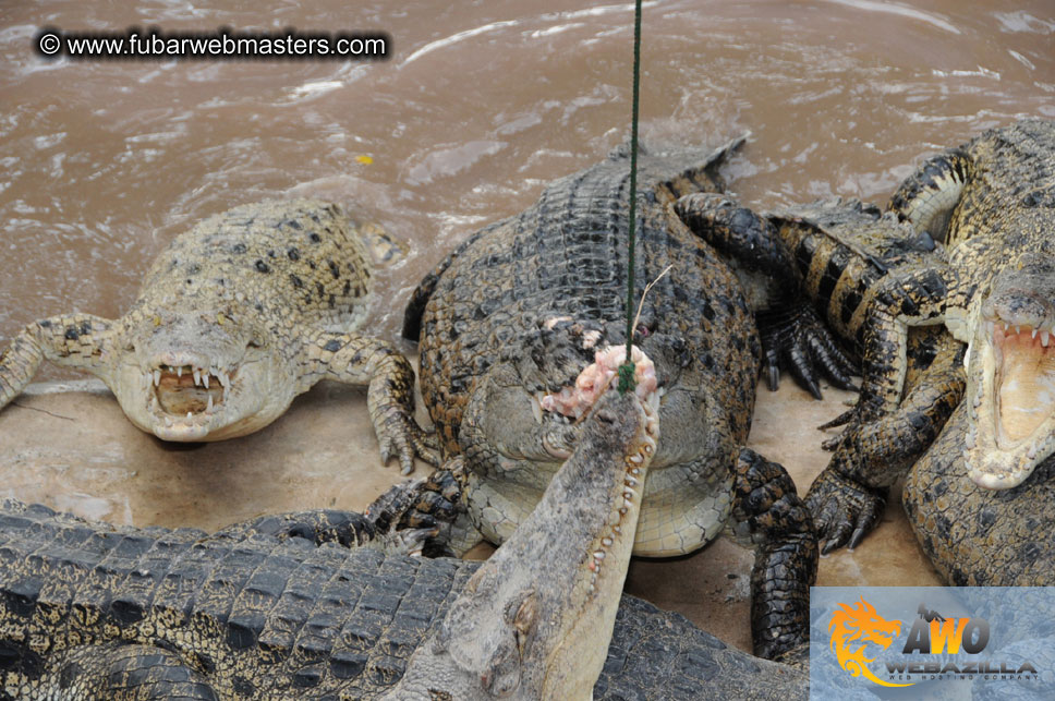 Crocodile Farm