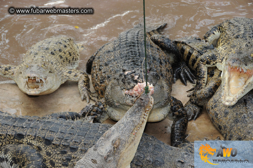 Crocodile Farm