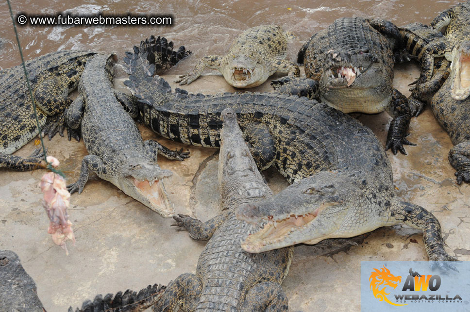 Crocodile Farm