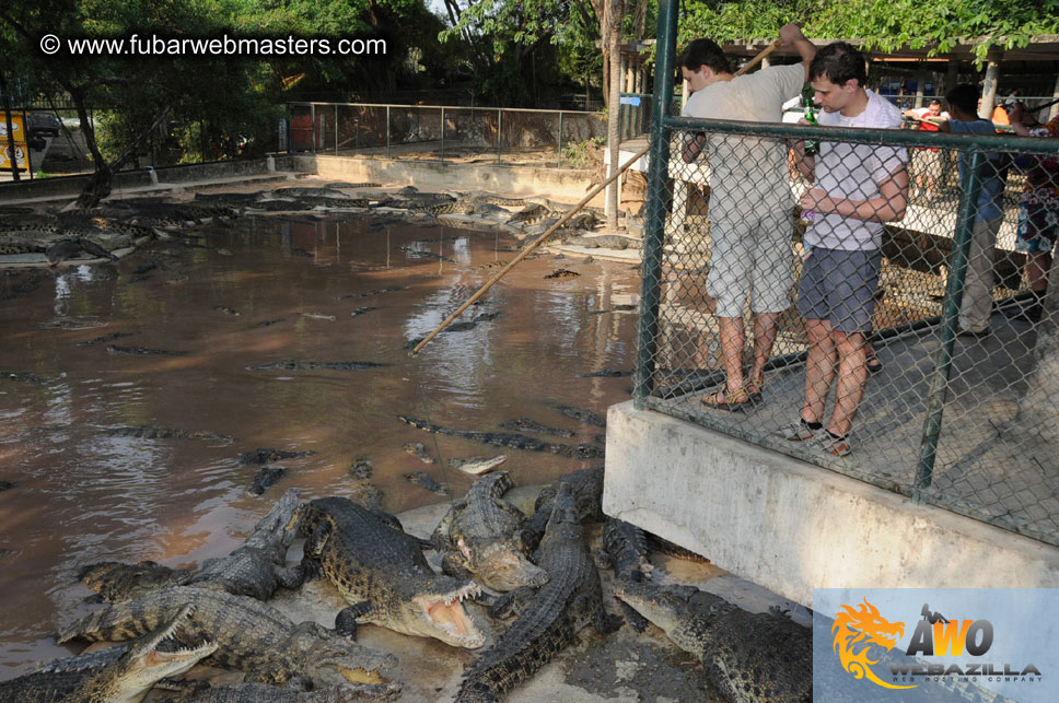 Crocodile Farm